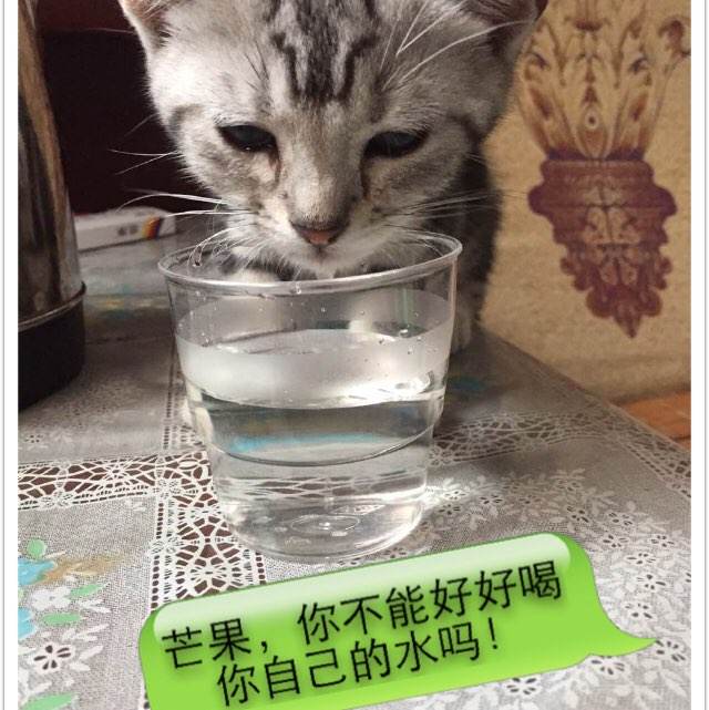广东省普通高中毕业证书样本图片?